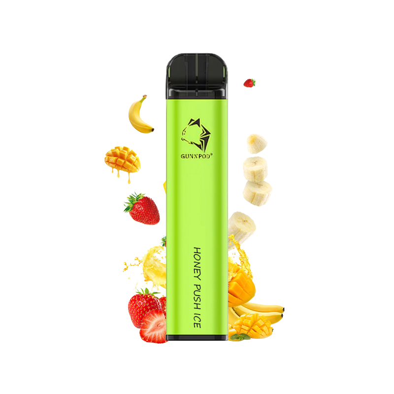 GUNNPOD 2000 & HONEY PUSH ICE
