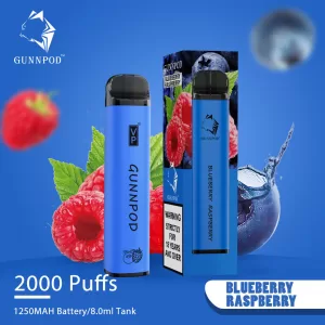 GUNNPOD BLUEBERRY RASPBERRY 2000 PUFFS